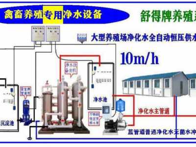 供应绿色环保原水处理设备养殖业机械养鸡场机械化养鸡场饮水设备图4