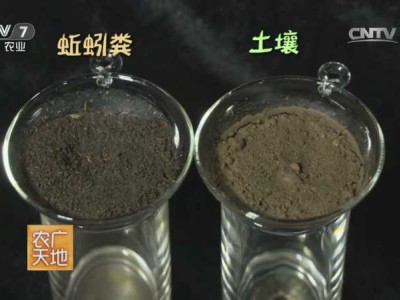 阳台种菜基质图3